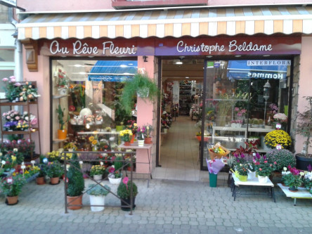 Au rêve fleuri