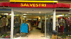 Salvestri Mende