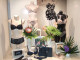 vitrine LOU1
